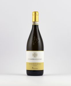 “Cambrugiano” Verdicchio di Matelica DOCG Riserva 75 cl cant. Belisario