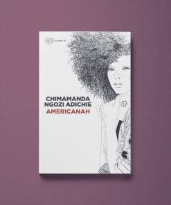 Americanah – Chimamanda Ngozi Adichie